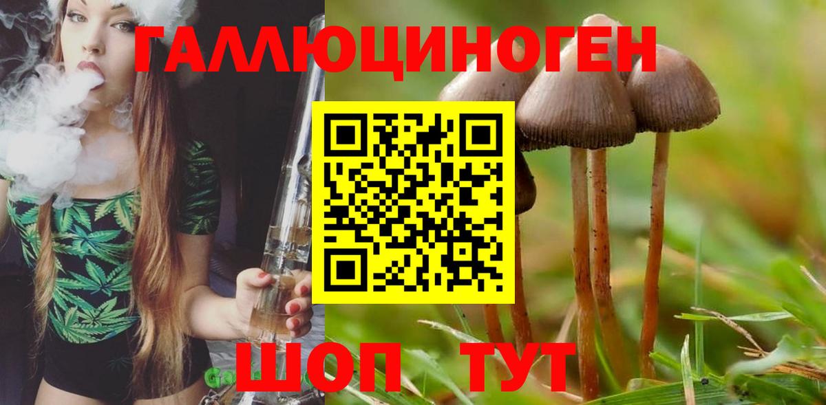 Чистополь  купить   Вход с VPN  Галлюциногенные грибы мицелий 