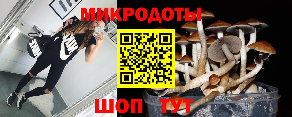 Галлюциногенные грибы MAGIC MUSHROOMS Чистополь